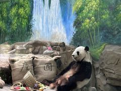 -灵玲国际马戏城