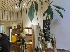 -沏点Trattoria意大利餐厅(新街口店)
