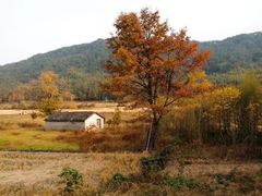 -塔川景区