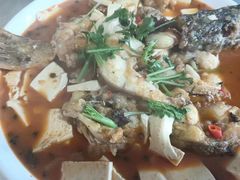 -煲来饱去冷水鱼
