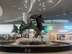 -青岛胶东国际机场