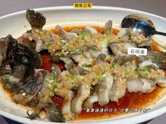 -墨宴(西洋湖店)