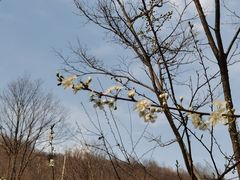 -姚家山旅游风景区