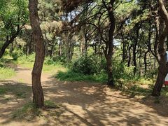 -高尔山公园