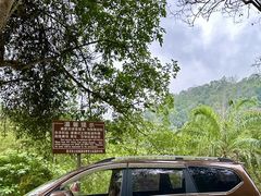 -野象谷景区