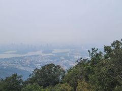 -紫金山山顶公园