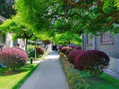 -南京中国近代史遗址博物馆(南京总统府)