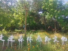 -北京西山国家森林公园