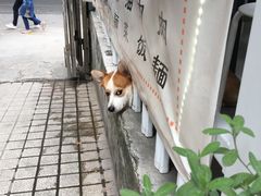 -小梁哥云吞面(黄贝岭店)