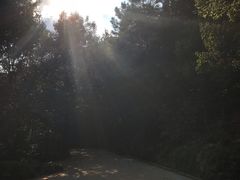 -宝岩生态观光园