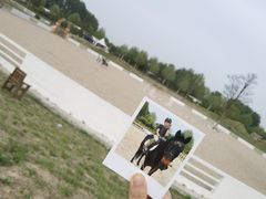 -上林马术中央公园·户外露营·团建·骑乘