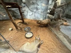 -Zoolung Zoolung动物主题公园(海信广场店)