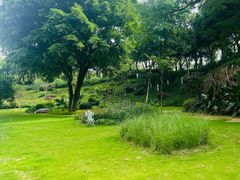 -大渡口区义渡公园