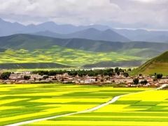 -青海湖国家重点风景名胜区