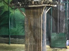 -三亚千古情景区游客中心-接待中心