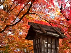 -常寂光寺