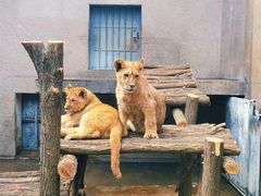 -西安秦岭野生动物园