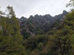 -王顺山国家森林公园