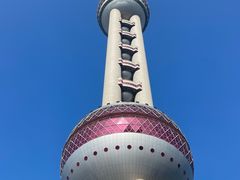 -上海大自然野生昆虫馆(东方明珠·爬宠昆虫探索中心)