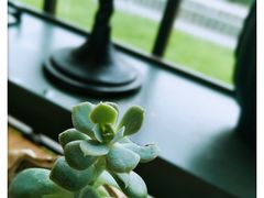 -有才叔的小馆(招商依云曲江店)