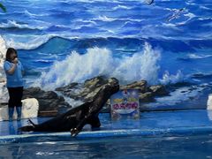 -左海海底世界