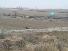 -丹东市五龙山风景区