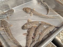 -华盛丰温州大排档(东三环南路店)