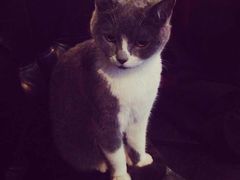 -MIKAKU(万达广场上海宝山店)