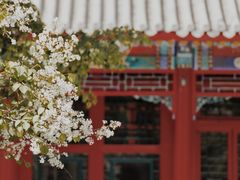 -国家植物园