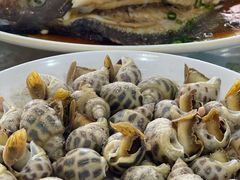 清蒸石斑鱼-明记海鲜大排档(巽寮湾店)