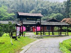 -常德桃花源景区
