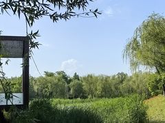 -翠湖国家城市湿地公园