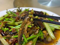 -春涛餐馆(下坝店)