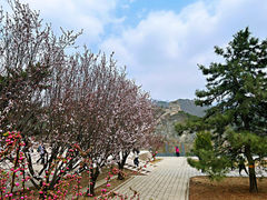 -居庸关长城