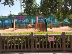 -昆明动物园