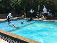 -汪说喵讲宠物乐园宠物酒店(红星美凯龙店)