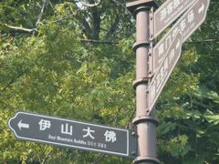 -大伊山景区
