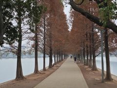 -食膳公园包子铺(烈士公园店)