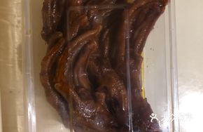Slightly Spicy Duck Feet