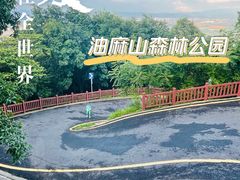 -黄埔油麻山森林公园