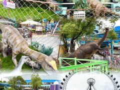 -海合安武汉极地海洋公园