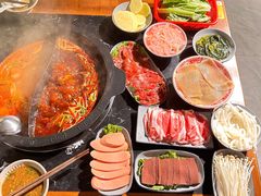 -重庆川渝肥妹火锅