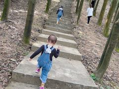 -广州市帽峰山景区