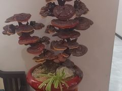 -卢小厨私房菜(长兴店)