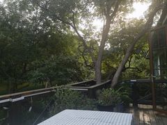 -阳光家常菜游客餐厅(千佛山店)