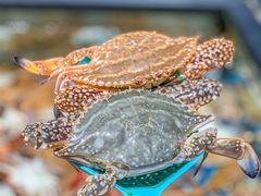 -盒马鲜生(皇庭广场店)