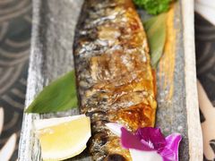 -鞠橘居酒屋(仁恒江湾新天地店)