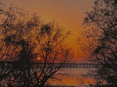 -宝安西湾红树林湿地公园