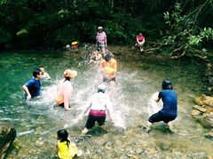 景点-紫云谷景区