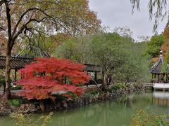 -上海醉白池公园